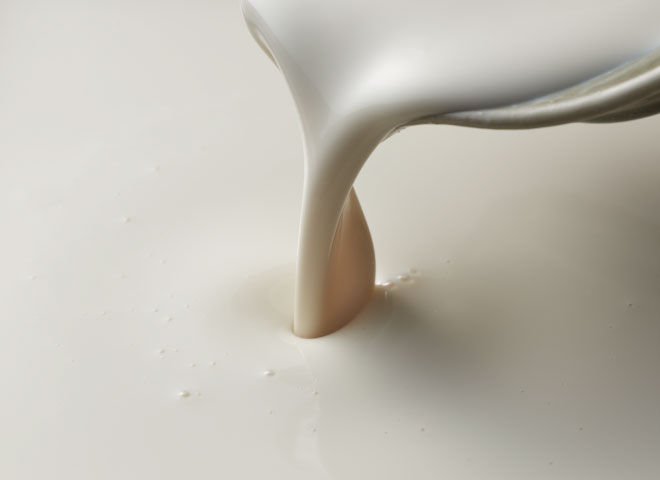 辻󠄀豆腐店の業務用仕入れサービス